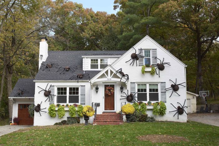 How to make a house size spider decoration